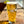 El Camino Mexican Lager